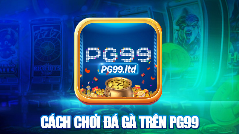 Cách chơi đá gà trên PG99 đơn giản quá trời